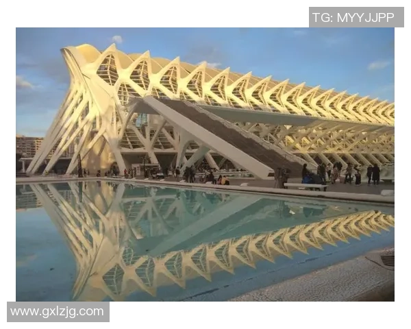 探索足球配色的艺术与科学如何影响比赛氛围与球迷情感